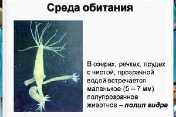 Зайти на кракен - Качественные платформа